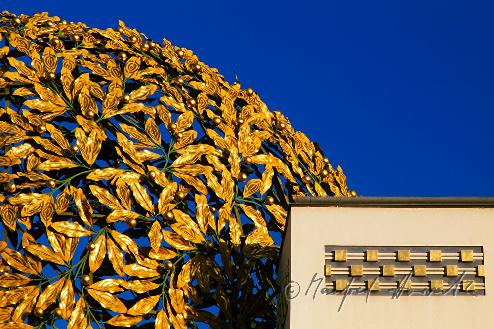 dome of Secession (laurel)