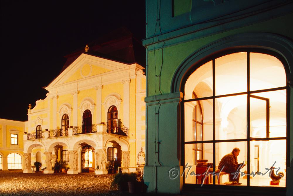 Castle Kittsee, view inside