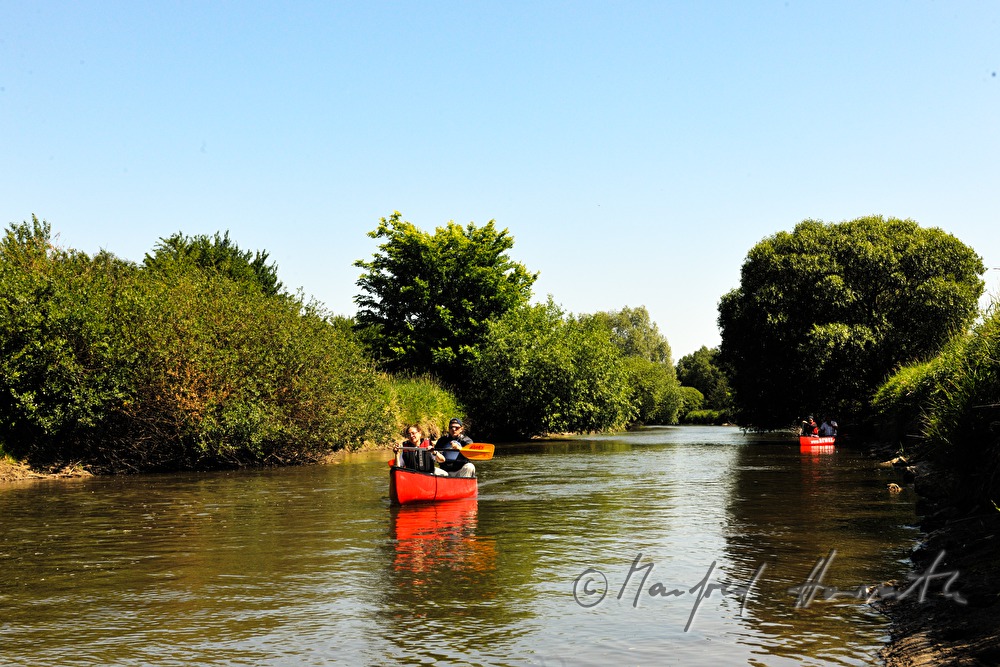 Kajaking on the river Leitha