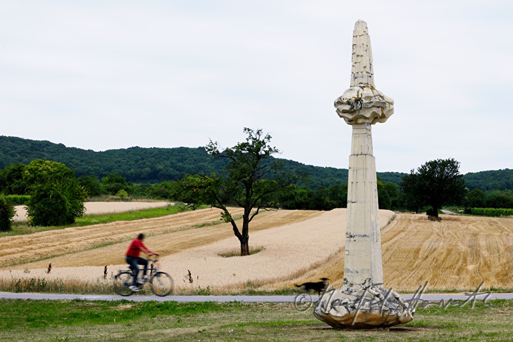 pushbiker and sculpture of Wander Bertoni