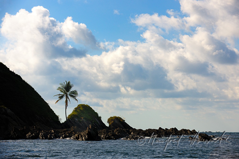 lonesome rock island with singular coco palm