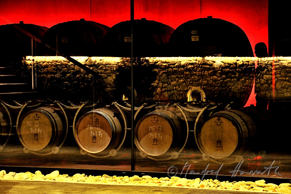 view from outside into the wine cellar with wooden barrels