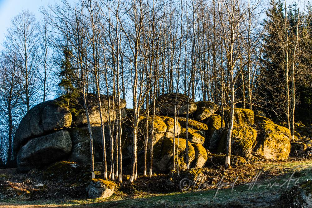 granite boulders near a forest