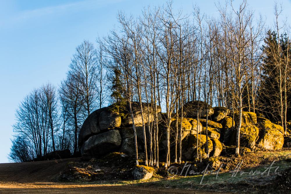 granite boulders near a forest