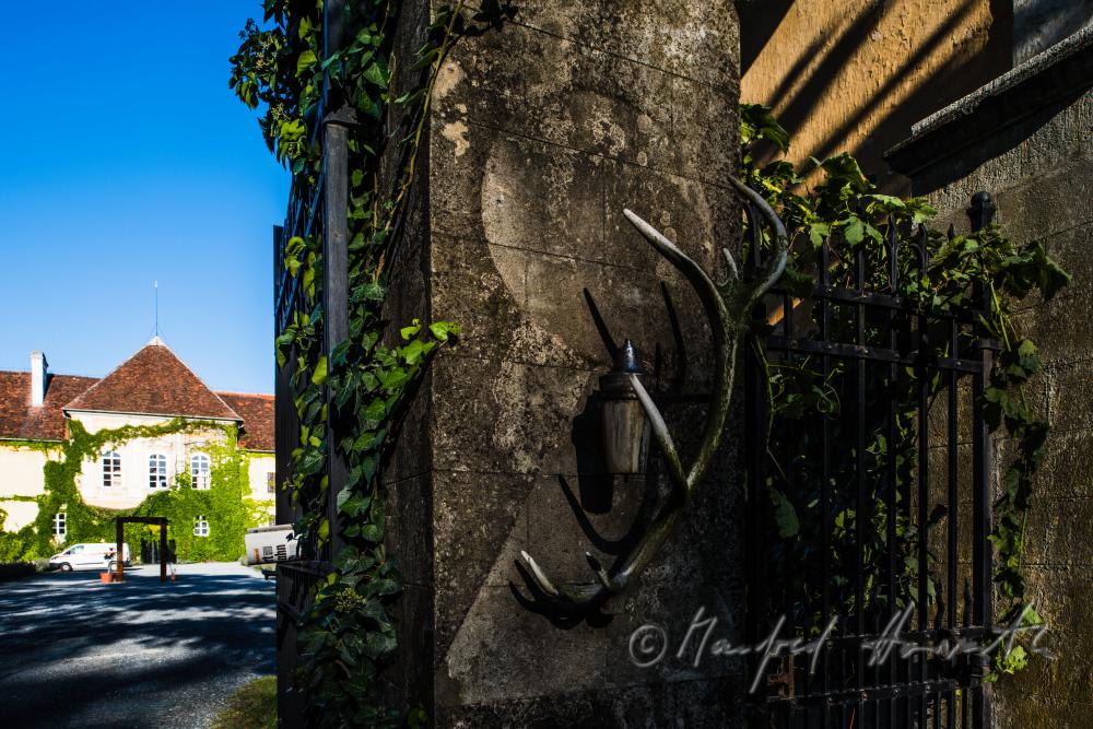 Castle Kobersdorf and hills of the surrounding forest