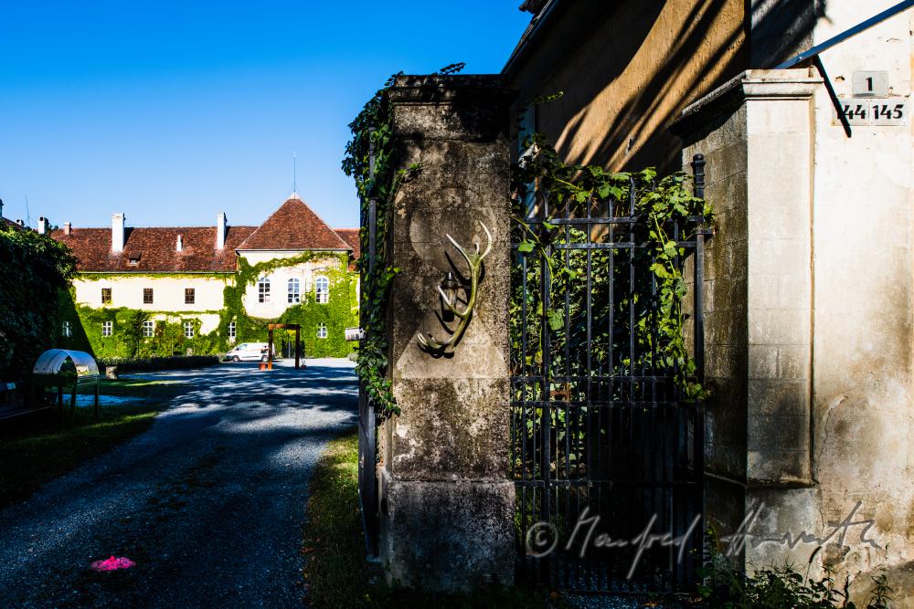 Castle Kobersdorf and hills of the surrounding forest